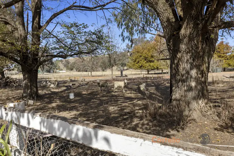 Fourth view of Homely house listing, 1139 Murray Valley Hwy, Corryong VIC 3707