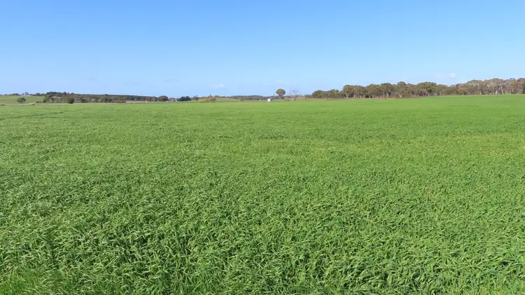 Third view of Homely rural property listing, Lot 91 Old Caves Road, Mount Light SA 5271