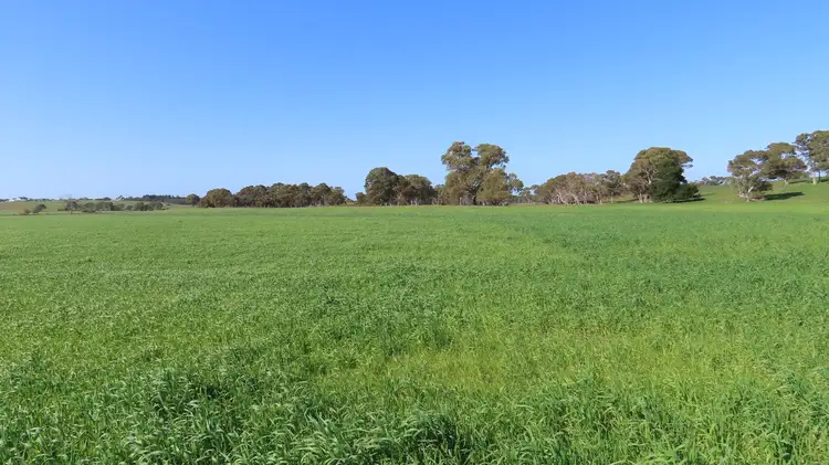 Fourth view of Homely rural property listing, Lot 91 Old Caves Road, Mount Light SA 5271
