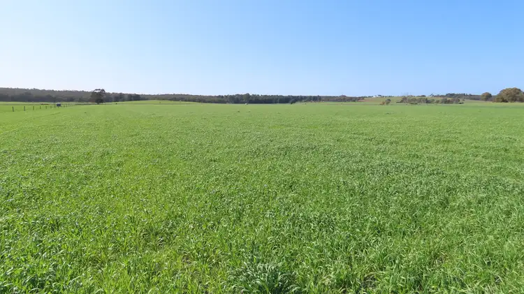 Fifth view of Homely rural property listing, Lot 91 Old Caves Road, Mount Light SA 5271