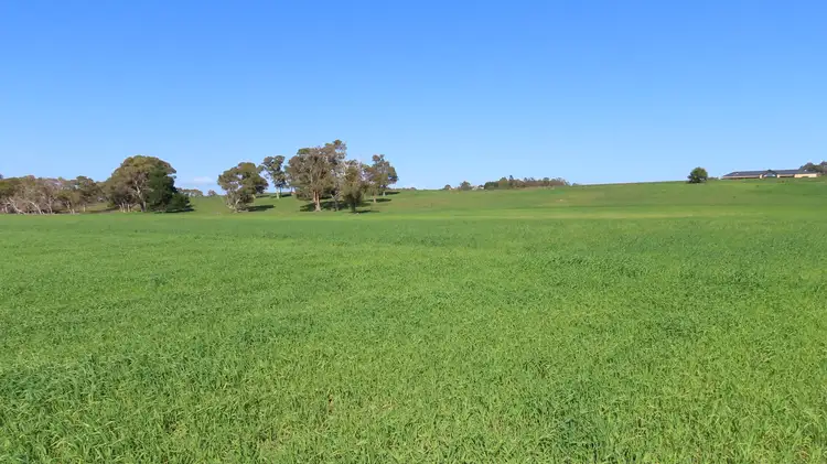 Sixth view of Homely rural property listing, Lot 91 Old Caves Road, Mount Light SA 5271