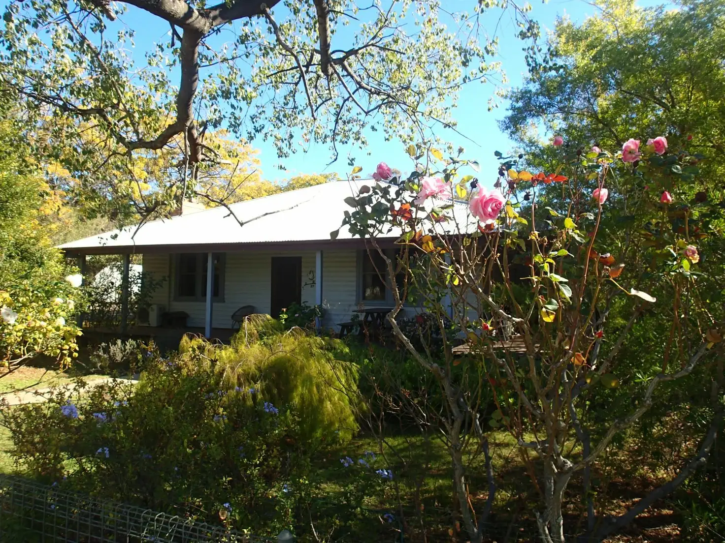 Main view of Homely house listing, 22-24 Coreen St, Oaklands NSW 2646