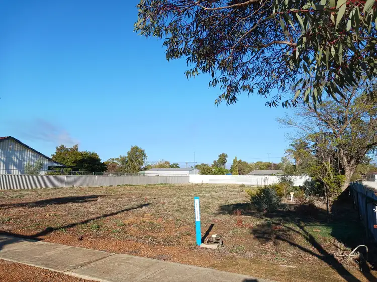 17 Byfield St, Meckering WA 6405