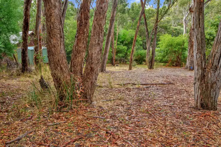 75 High Rd, Halls Gap VIC 3381