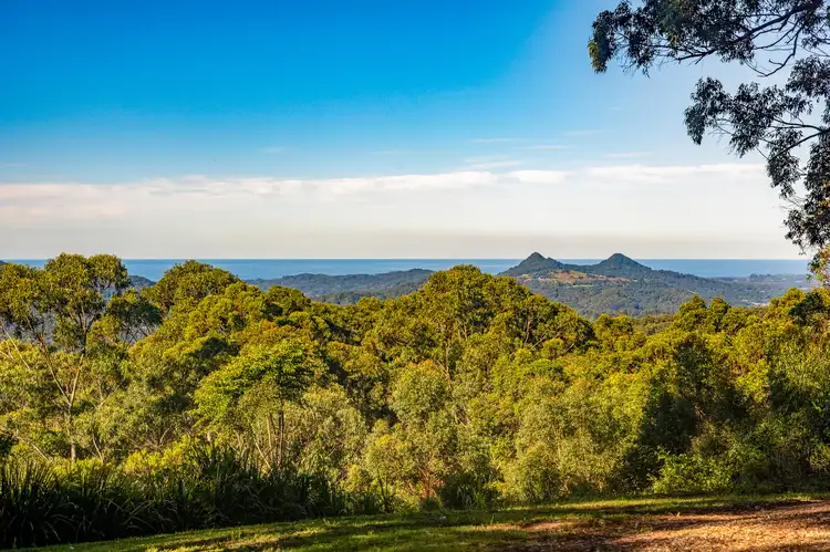 Second view of Homely rural property listing, 133A Middle Ridge Road, Upper Main Arm NSW 2482