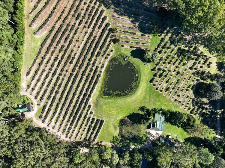 Fifth view of Homely rural property listing, 133A Middle Ridge Road, Upper Main Arm NSW 2482