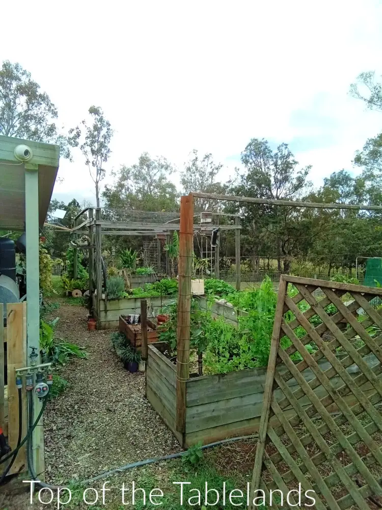 Second view of Homely rural property listing, 176 Tobacco Rd, Silver Valley QLD 4872