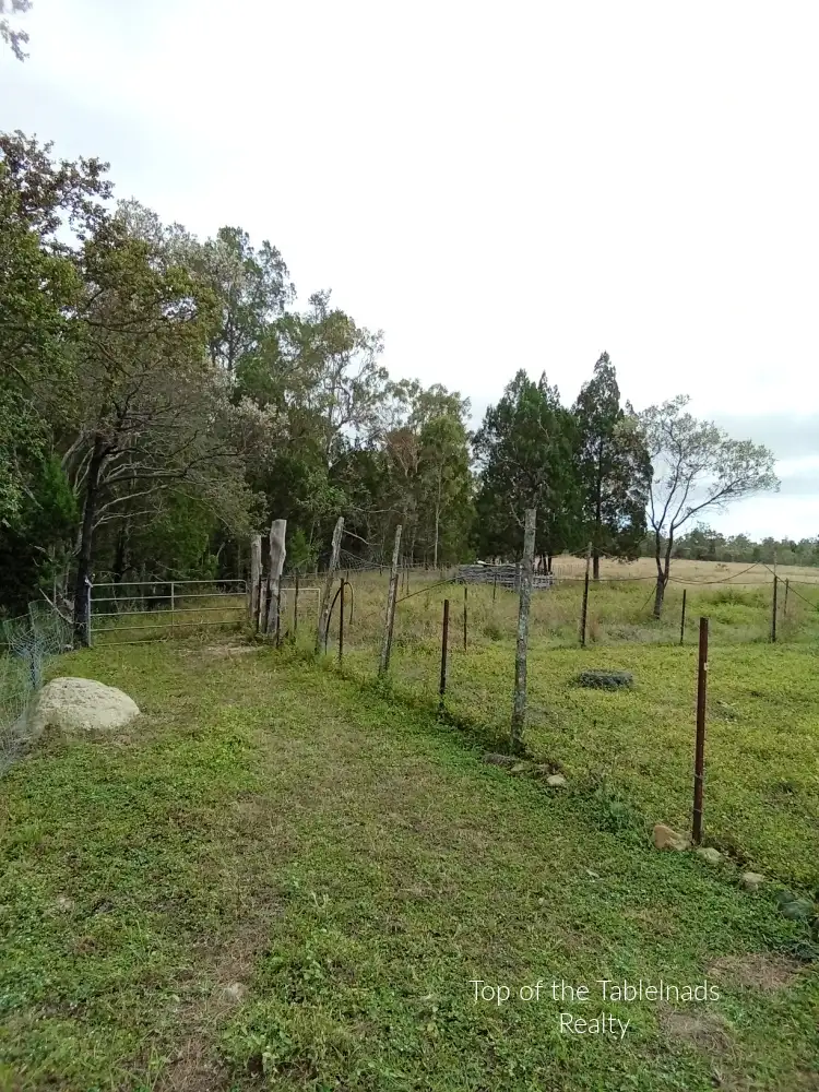 Fifth view of Homely rural property listing, 176 Tobacco Rd, Silver Valley QLD 4872