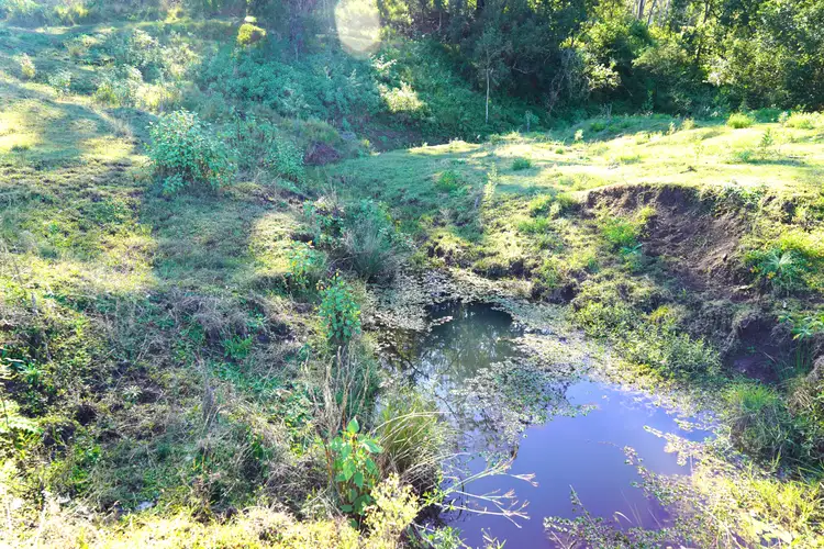 Fourth view of Homely rural property listing, 2425 Pine Creek Rd, Lismore NSW 2480