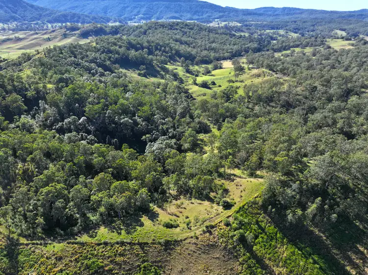 Fifth view of Homely rural property listing, 2425 Pine Creek Rd, Lismore NSW 2480