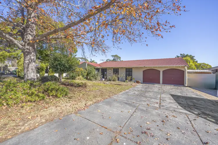 16 Hanrahan Loop, Kardinya WA 6163