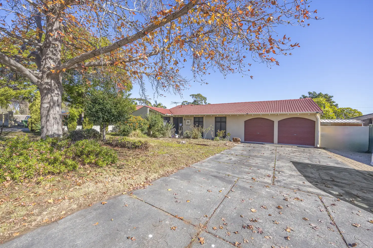 Main view of Homely house listing, 16 Hanrahan Loop, Kardinya WA 6163