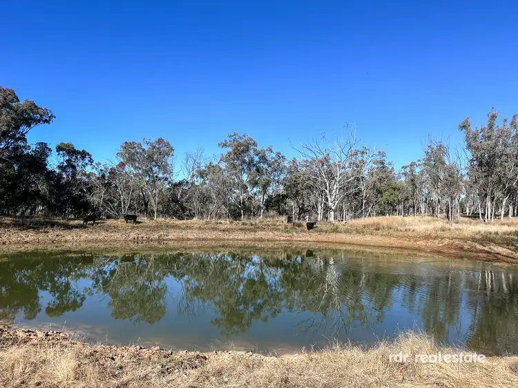 Fourth view of Homely rural property listing, 3911 Bundarra Road, Inverell NSW 2360
