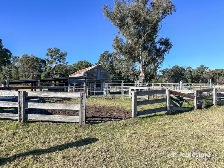 Sixth view of Homely rural property listing, 3911 Bundarra Road, Inverell NSW 2360