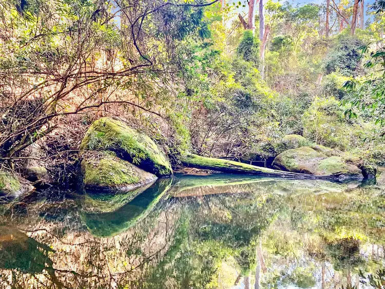 Third view of Homely rural property listing, 1829 Watagan Creek Rd, Laguna NSW 2325