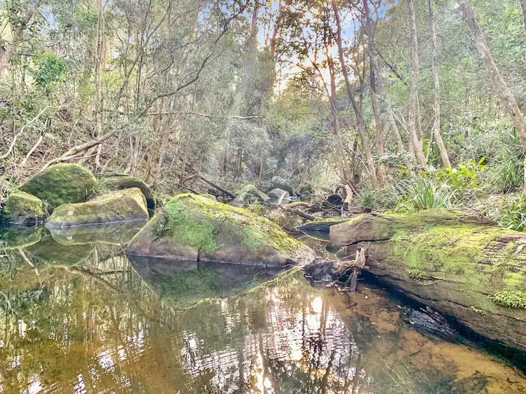 Fourth view of Homely rural property listing, 1829 Watagan Creek Rd, Laguna NSW 2325