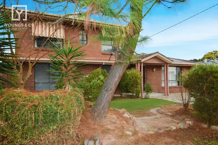 Main view of Homely house listing, 12 Banfield Ave, Mooroopna VIC 3629