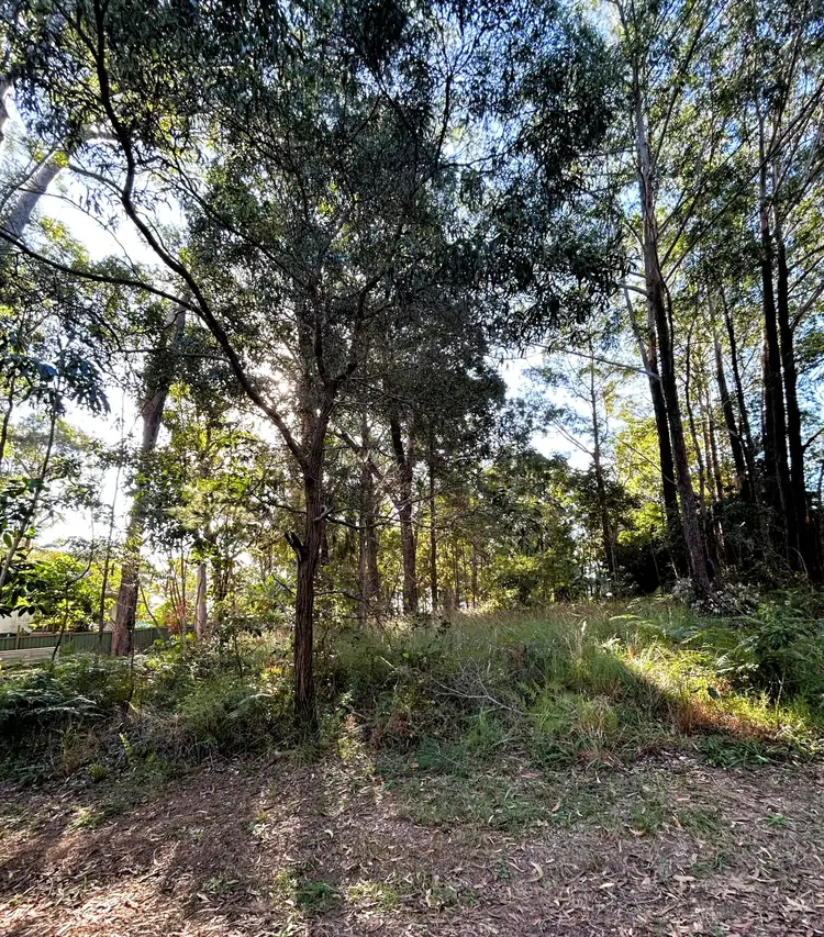 31 Heeterra St, Russell Island QLD 4184