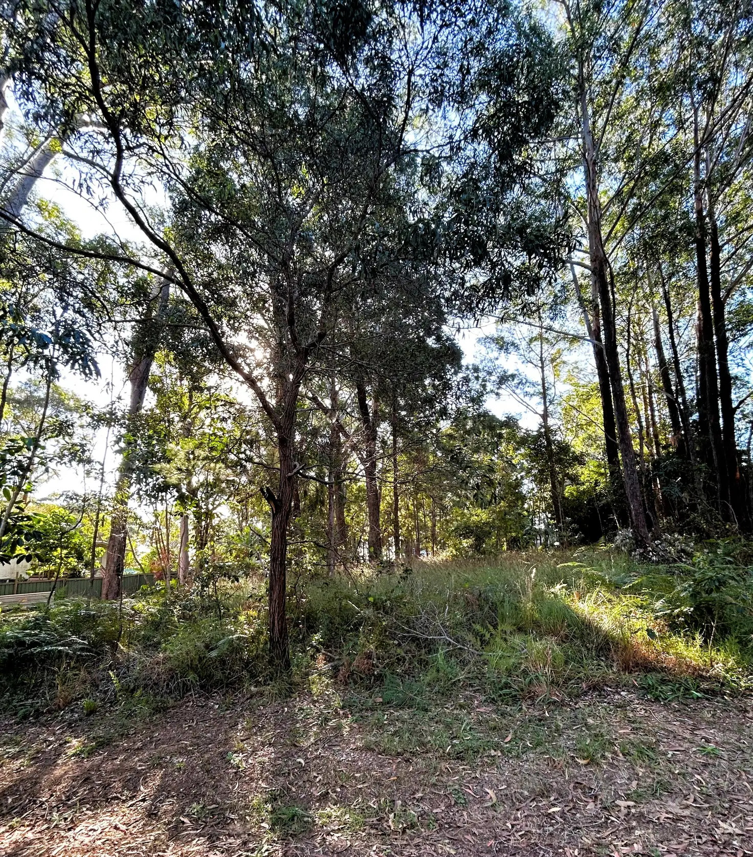 Main view of Homely land listing, 31 Heeterra St, Russell Island QLD 4184