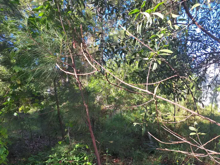 Fifth view of Homely land listing, 13 Ashton St, Macleay Island QLD 4184