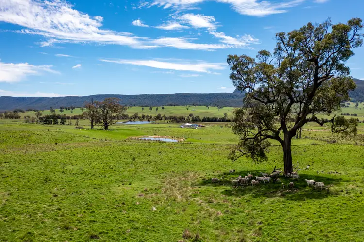 Fifth view of Homely rural property listing, 22 //1235 Glen Alice Road, Rylstone NSW 2849