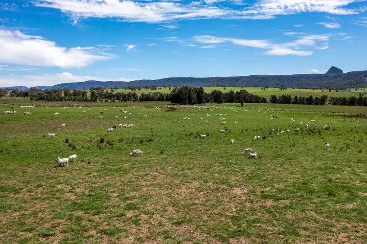 Sixth view of Homely rural property listing, 22 //1235 Glen Alice Road, Rylstone NSW 2849