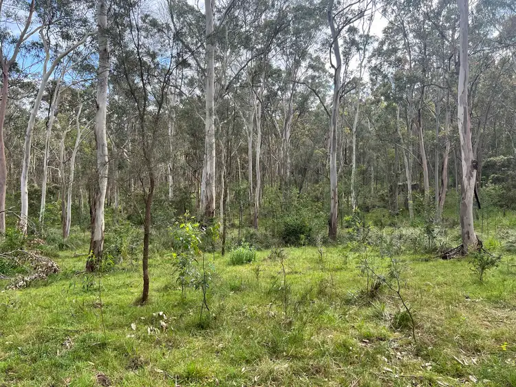 Lot 79 Littlewood Road, North Rothbury NSW 2335