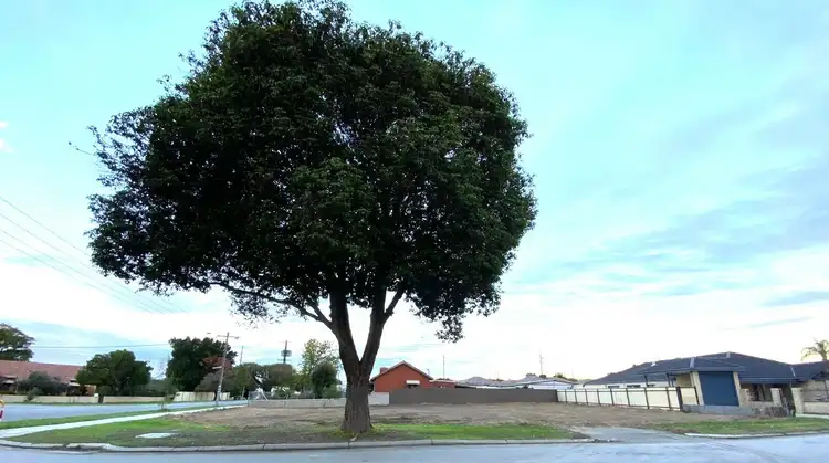 Fifth view of Homely land listing, LOT 3, 11 Elshaw St, Queens Park WA 6107