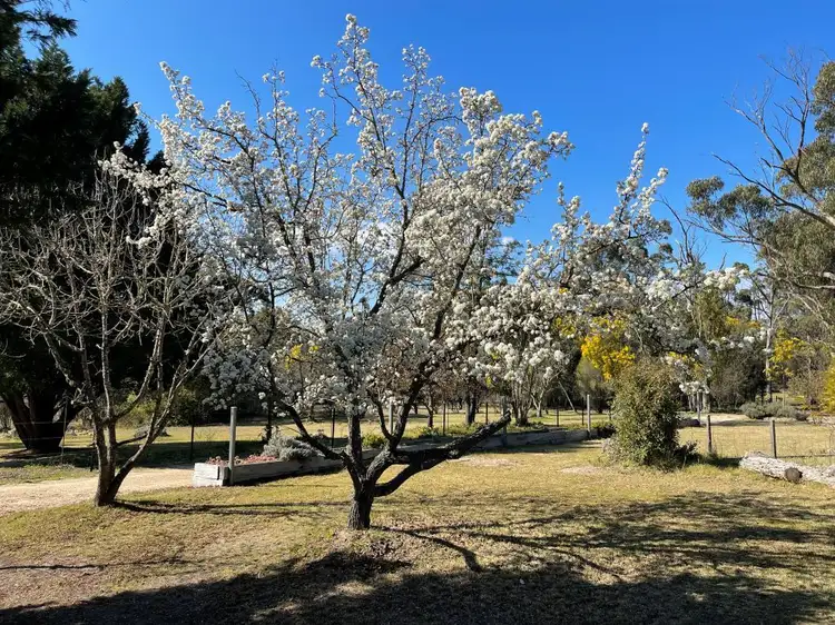 Fourth view of Homely house listing, 580 Nundubbermere Rd, Nundubbermere QLD 4380