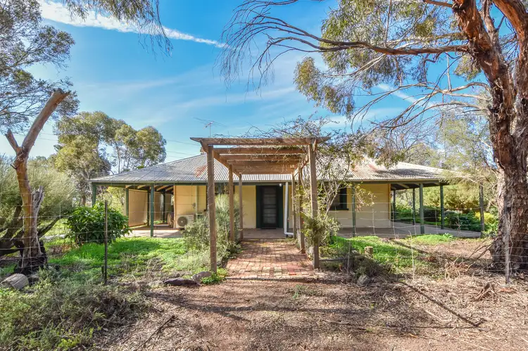 Main view of Homely house listing, 249 Montrose Lane, Crystal Brook SA 5523