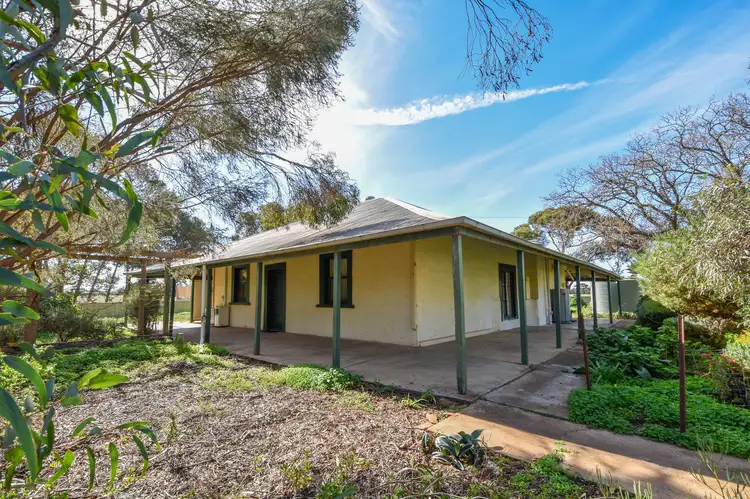 Second view of Homely house listing, 249 Montrose Lane, Crystal Brook SA 5523
