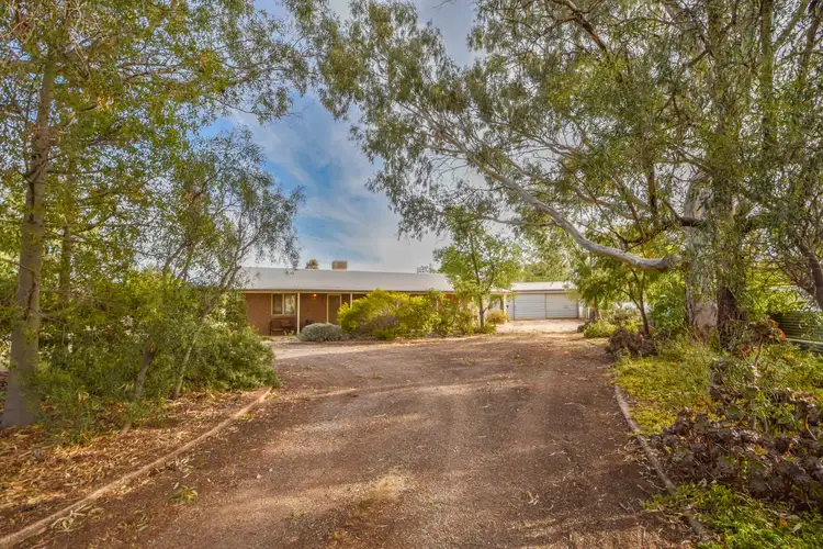 Main view of Homely house listing, 11 West Tce, Laura SA 5480