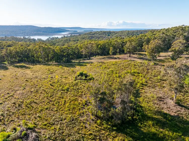 Seventh view of Homely rural property listing, Lot 262 Adelaide Avenue Wonboyn Via, Eden NSW 2551