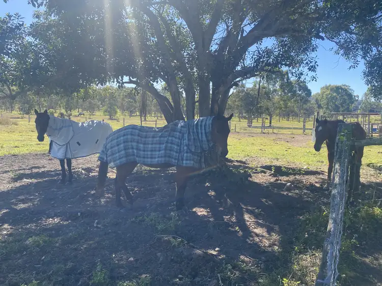 Second view of Homely rural property listing, 289 Woodbury Rd, Bungundarra QLD 4703
