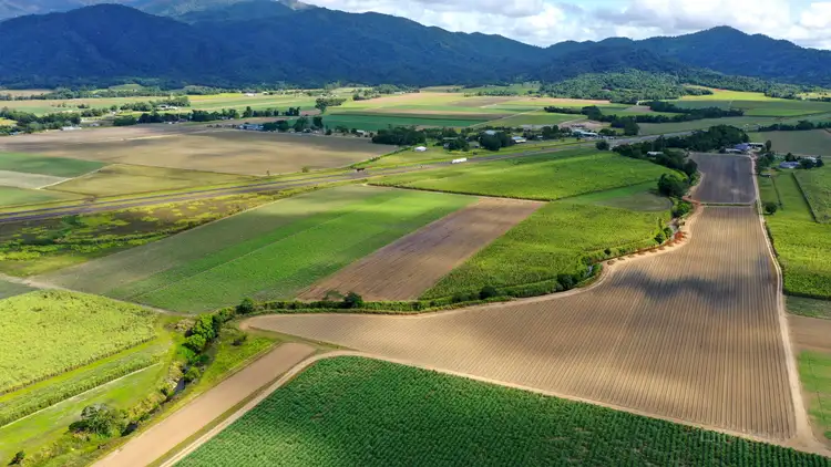 Third view of Homely rural property listing, 8 East Feluga Rd, East Feluga QLD 4854