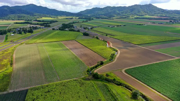 Fourth view of Homely rural property listing, 8 East Feluga Rd, East Feluga QLD 4854