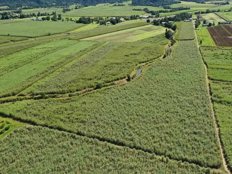 Fifth view of Homely rural property listing, 8 East Feluga Rd, East Feluga QLD 4854