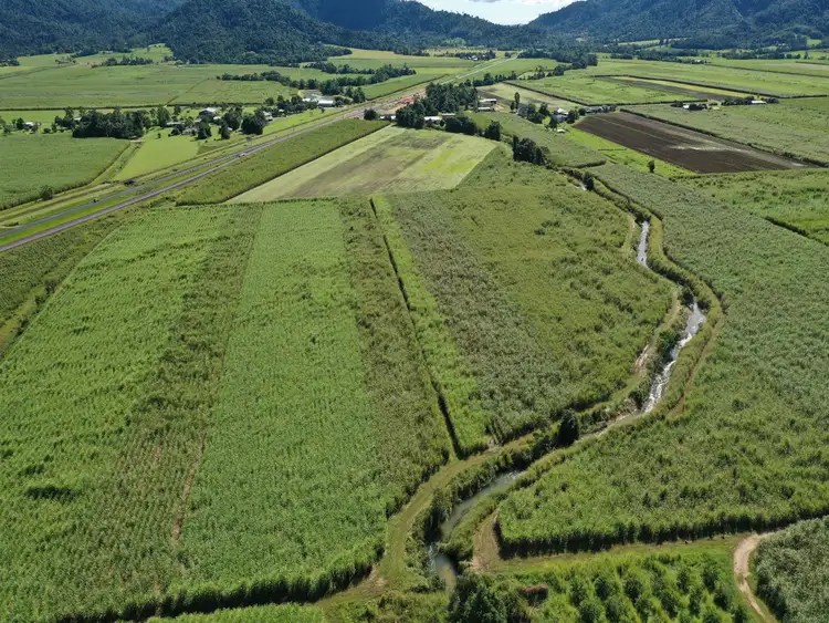 Sixth view of Homely rural property listing, 8 East Feluga Rd, East Feluga QLD 4854