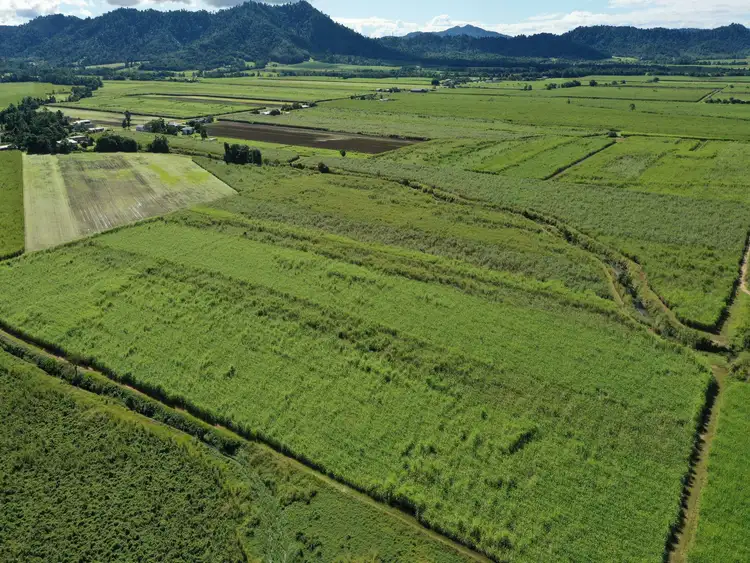Seventh view of Homely rural property listing, 8 East Feluga Rd, East Feluga QLD 4854
