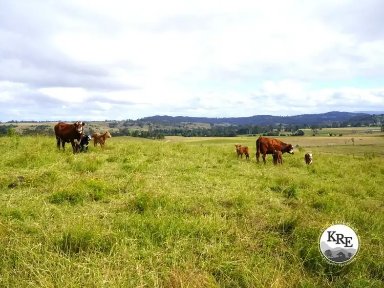 65 Webbs Rd, Kyogle NSW 2474