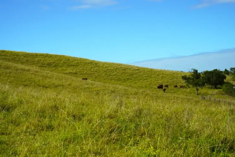 Sixth view of Homely rural property listing, 65 Webbs Rd, Kyogle NSW 2474