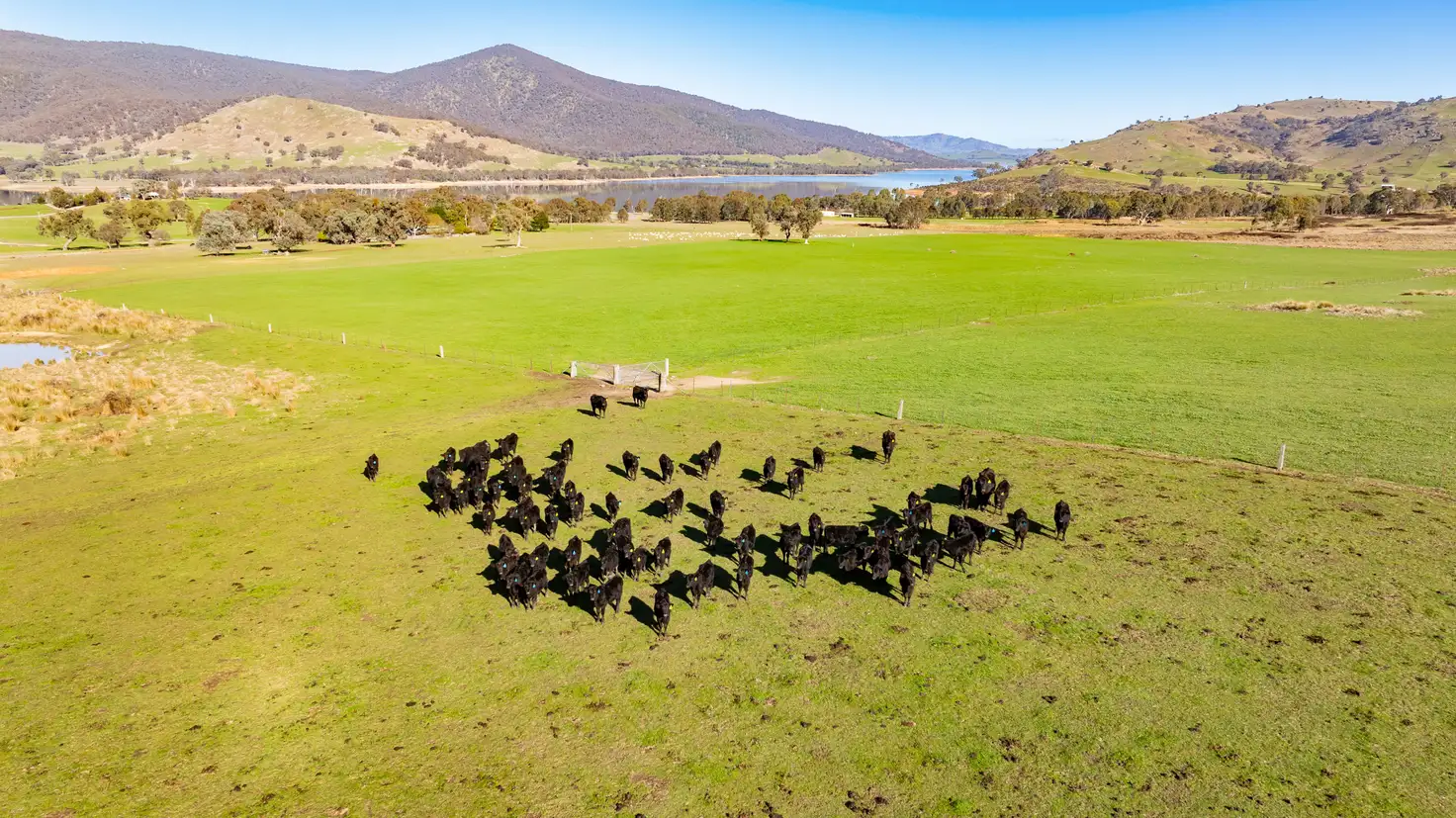 Main view of Homely rural property listing, 'Boxbourne North'/2445 Wymah Rd, Wymah NSW 2640