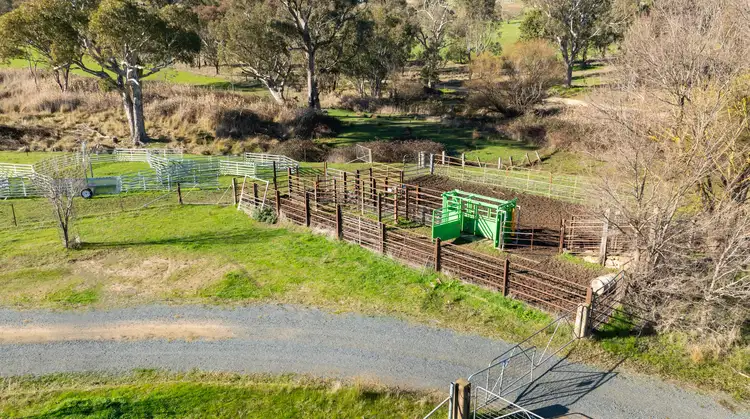Fifth view of Homely rural property listing, 'Boxbourne North'/2445 Wymah Rd, Wymah NSW 2640