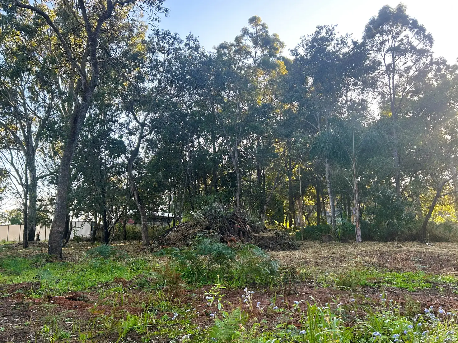 Main view of Homely land listing, 9 Karri St, Russell Island QLD 4184