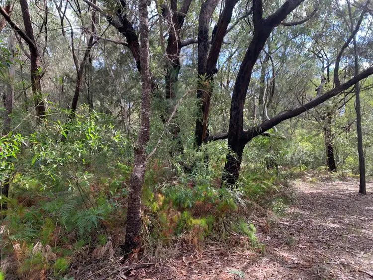 Sixth view of Homely land listing, 24 Tahlin Dr, Russell Island QLD 4184