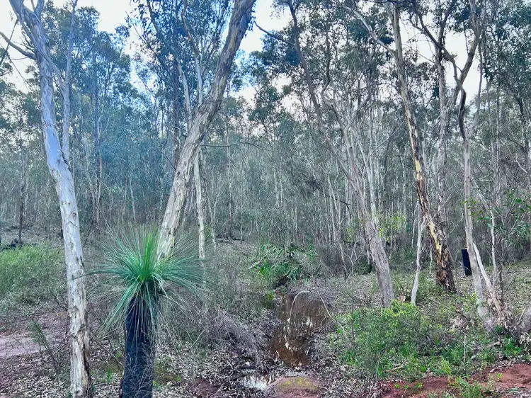 Seventh view of Homely house listing, 435 Mcknoe Dr, Morangup WA 6083