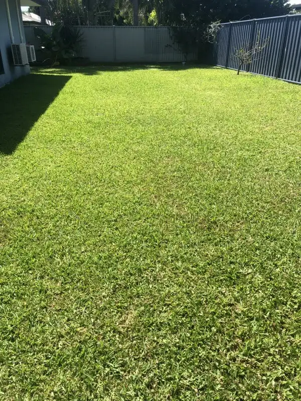 Sixth view of Homely house listing, 12 Sunbird Ct, Rocky Point QLD 4874