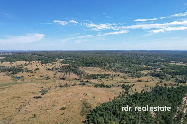 Main view of Homely rural property listing, 613 Bedwell Downs Road, Wallangra NSW 2360