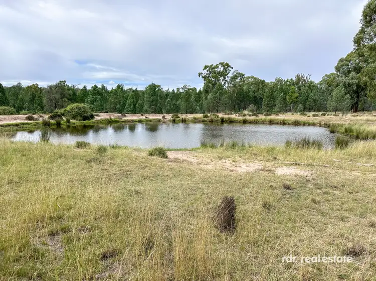 Fourth view of Homely rural property listing, 613 Bedwell Downs Road, Wallangra NSW 2360