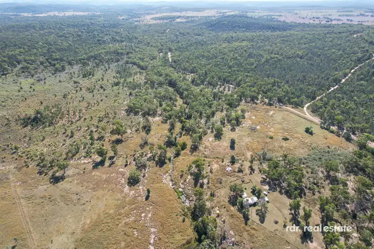 Fifth view of Homely rural property listing, 613 Bedwell Downs Road, Wallangra NSW 2360